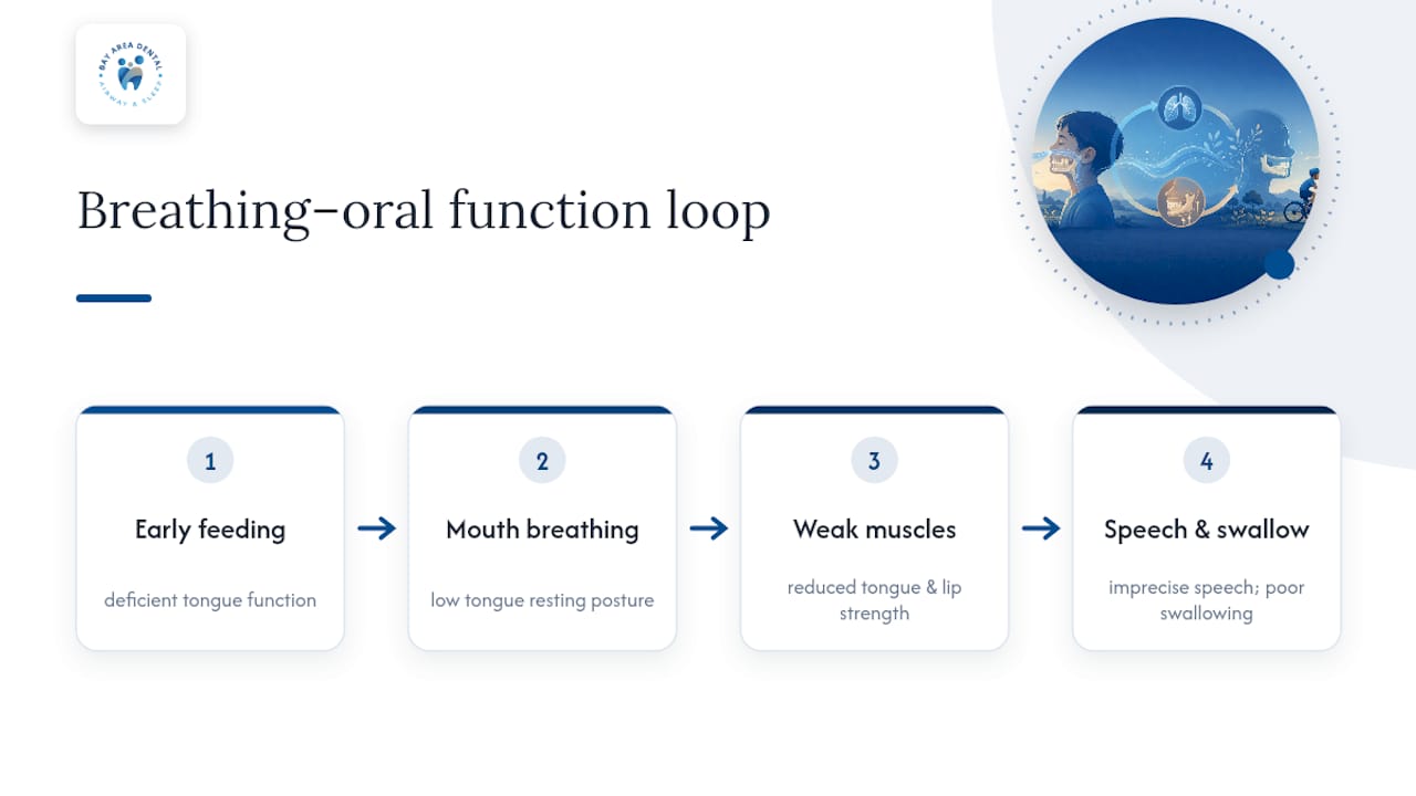 Nasal breathing and oral function feedback loop